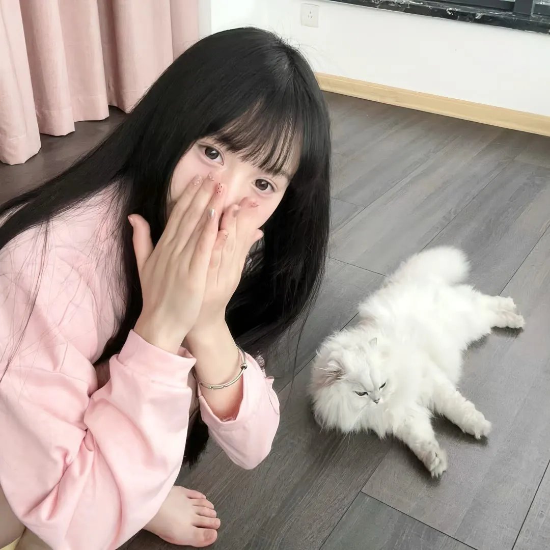 功夫宗师霍元甲